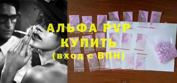стаф Ростов