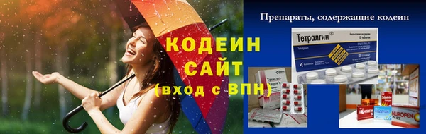 шишки Гусев