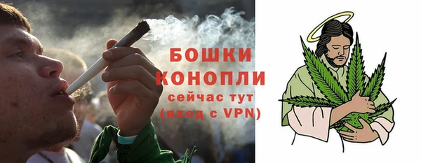 шишки Гусев