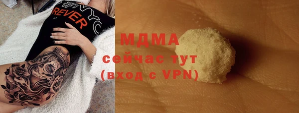 шишки Гусев