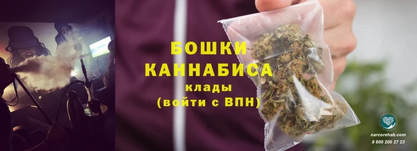 сатива Гусиноозёрск