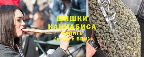 сатива Гусиноозёрск