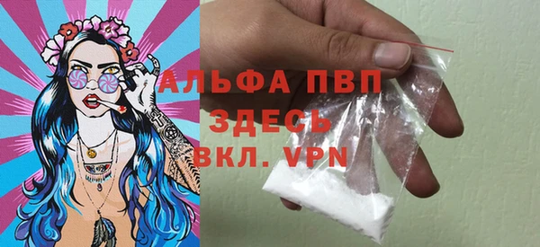 сатива Гусиноозёрск
