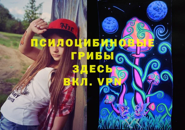 альфа пвп Дмитриев