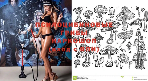 шишки Гусев